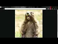StegCrypt Automated LSB Steganography Engine Python