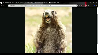 StegCrypt Automated LSB Steganography Engine Python