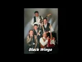 Download Lagu Black Wings - Aku Jatuh Cintha (indo rock)