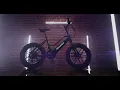 Redesigned Pedego Element V2