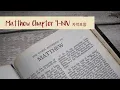 Matthew 9 NIV BIBLE with text