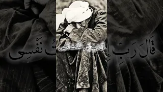 قال رب إني ظلمت نفسي فاغفرلي فغفر له الشيخ محمود القزاز القرآن الكريم Fyp Foryou 