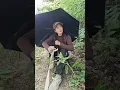 Download Lagu Mastran burung lucu viral kocak ngakak meme funny memes moments
