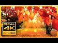 Lagu Prachtige herfstkleuren en ontspannende muziek in 4K 🍁🍂 - Mooie herfstbladeren. 2017. 4K UHD TV