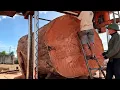 Download Lagu Operating Giant Chainsaw// Cutting Redwood Tree Extremely Dangerous
