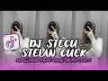 Download Lagu DJ STECU STECU STELAN CUEK || DJ STECU - FARIS ADAM FULL BASS MENGKANE VIRAL TIKTOK