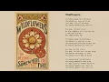 Download Lagu Tom Petty - Wildflowers (Official Lyric Video)