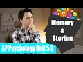 Types of Memories Storing Memories AP Psychology Unit 5 Topic 3 5 3