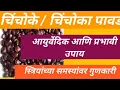 Download Lagu #चिंचोके# चिंचोका याची पावडर याची आयुर्वेदिक माहिती महिलांसाठी रामबाण औषध