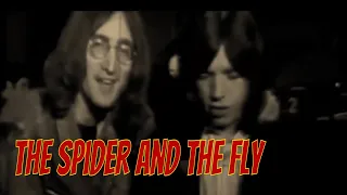 the spider and the fly rolling stones cover