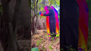  m k 
