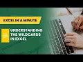 UNDERSTANDING THE WILDCARDS IN EXCEL BY EXCEL IN A MINUTE
