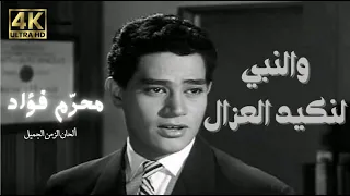 والنبي لنكيد العزال  استوديو  محرم فؤاد                                                 دندنها