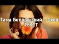 Тима Белорусский - Окей (окей мы просто играем в жизнь) (Lyrics, Текст) (Премьера трека)