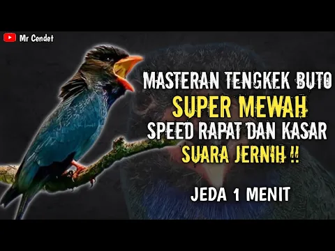 Download MP3 MASTERAN TENGKEK BUTO SUPER MEWAH || SPEED RAPAT DAN KASAR !!