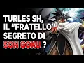 Video di Turles sh figuarts