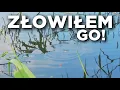Download Lagu 592 W KOŃCU GO ZŁOWIŁEM! WYPRACOWANA RYBA CIESZY NAJBARDZIEJ!