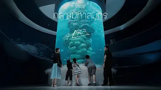 กลางมหาสมุทร - เล็ก รัชเมศฐ์「Official MV」