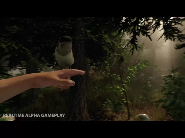 The Forest Trailer 2