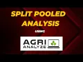 Split Plot Pooled Analysis
