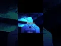 Download Lagu demi nyawa ini ku terluka || anime music video || lyric videos
