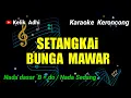 Download Lagu SETANGKAI BUNGA MAWAR - KARAOKE KERONCONG NADA SEDANG