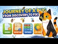 The Bug Life Cycle Explained QA Software Testing for Beginners