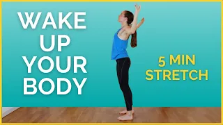 5 Minute MORNING STRETCH Wake Up Your Whole Body 
