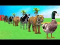 Lagu Long Slide Game with Cow Elephant Gorilla Hippopotamus Tiger 3d Animal Game Funny 3d Animals