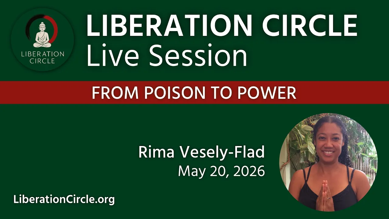 From Poison to Power - Rima Vesely-Flad | Liberation Circle Live 🍉