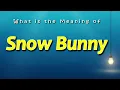 What does Snow Bunny mean