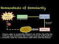 Human Physiology 21 - Tonicity