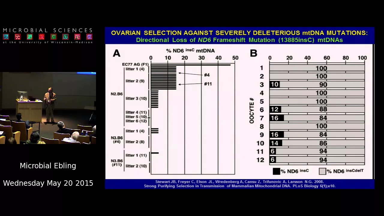 Dr. Doug Wallace - Talk from 8th Annual Oliver Smithies Symposium