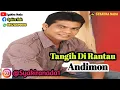 Download Lagu Tangih Di Rantau - Andimon - Syakira Nada