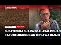 Lagu Bupati Buka Suara Soal Asal Ribuan Kayu Gelondongan Terbawa Banjir
