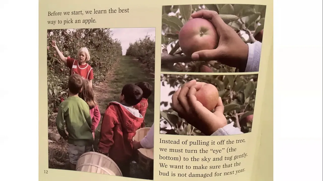 Read Aloud: A Day at the Apple Orchard