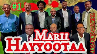 Marii Hayyootarratti Yaada Qabsaa Otaa OSFNA Abowbo Mooyyale Ep 1 