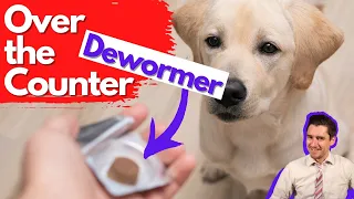 Over the Counter Dog Dewormer Dr Dan talks dewormers