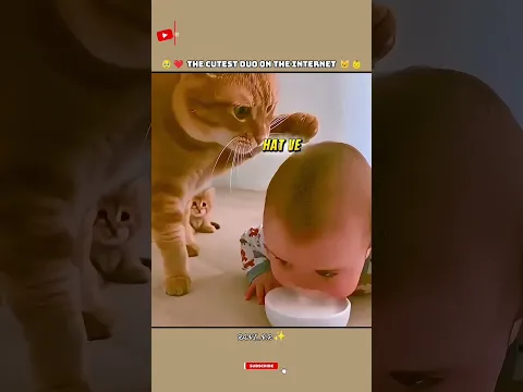 Inse Pyari Dosti Pehle Nahi Dekhi Hogi...🥰✨ | #shorts #baby #cat