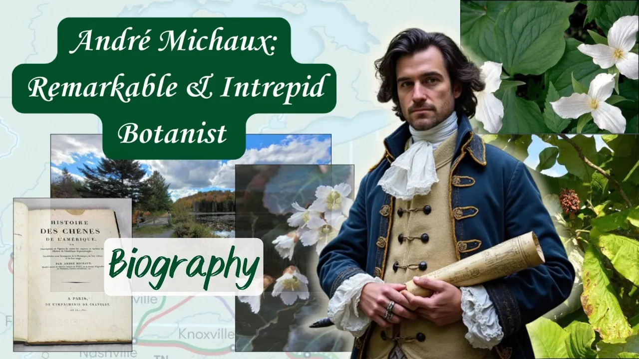 André Michaux: Biography