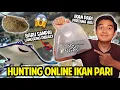Download Lagu HUNTING ONLINE IKAN PARI PERTAMA AKU! BARU SAMPAI LANGSUNG DIBULLY PREDATOR LAIN! IKAN PARI MOTORO!