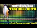 Lagu BURUNG CENDET GACOR ISIAN TENGKEK BUTO