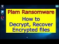 Plam virus ransomware How to decrypt Plam files Plam File Recovery Guide