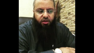 القطط في عالم السحر 