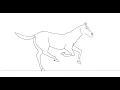 Character Animation with Adobe Animate Lesson 10 Horse Gallop