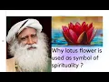 Sadhguru JV Why lotus flower is used as symbol of spirituality