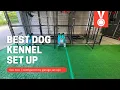 Best dog kennel set up