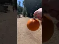 Wickered pumpkin patch in Menifee California