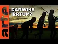 Download Lagu Darwin Express: EVOLUTION in REKORDZEIT | Doku HD| ARTE