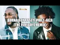 BURNA BOY FT SEYI VIBEZ-GIZA[THE PLYBOYZ REMIX]